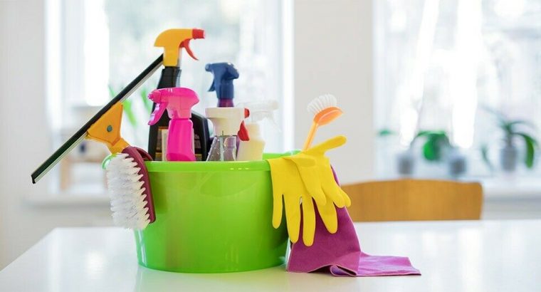 House cleaner (domestic cleaning, ironing)