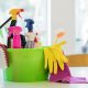 House cleaner (domestic cleaning, ironing)