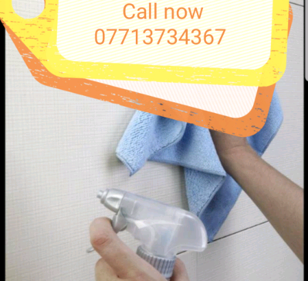 Cleaning services MARY MAID