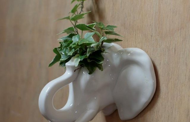 Decorative Ceramic Indoor Wall Planter – Elephant
