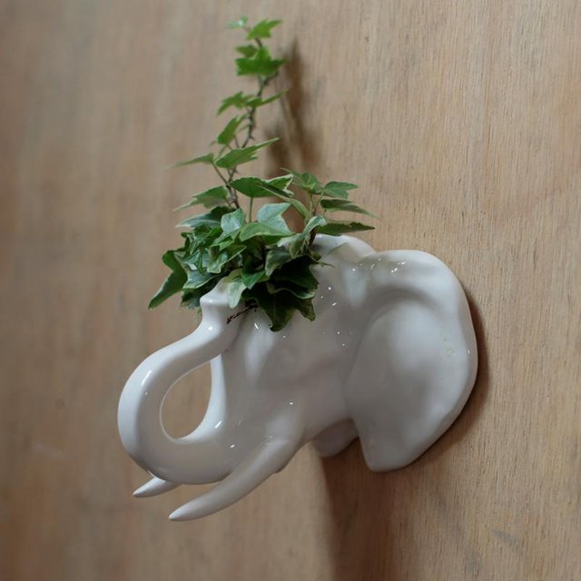 Decorative Ceramic Indoor Wall Planter – Elephant
