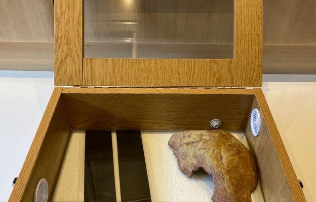 Starter Vivarium With Heat Pad And Cave For Sale £30 ono