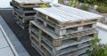 Wooden Pallet x 12 Free to Collector