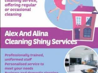 HOUSE CLEANING SERVICES ALEX AND ALINA LIMITED