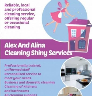 HOUSE CLEANING SERVICES ALEX AND ALINA LIMITED