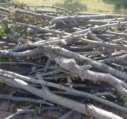 Free logs and branches ideal for burners.