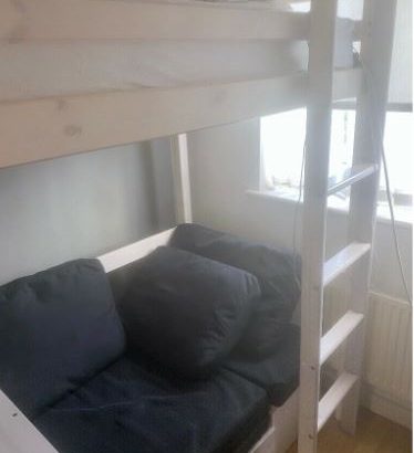 Nordic high sleeper sofa and bed.