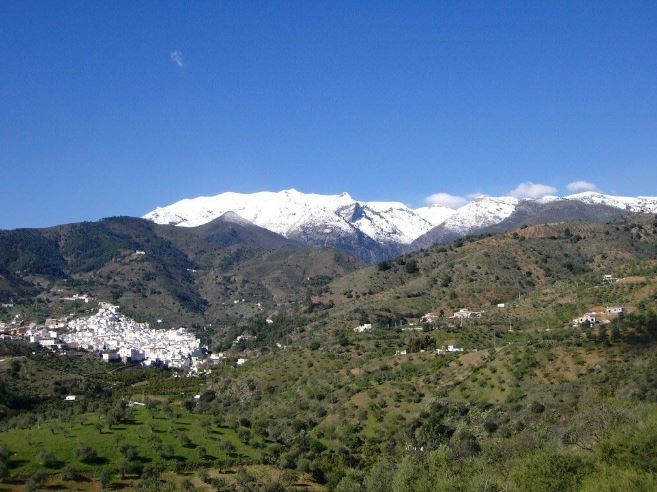 Plot of Land and Build for Sale – Tolox, Malaga