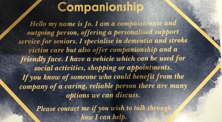 Companion/ carer /cleaner available various hours