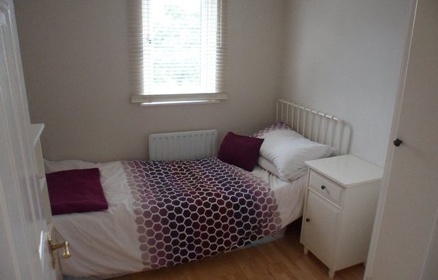 Airy Single Room For Rent In Top Of House