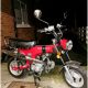Honda Dax St 90 Monkey Bike replica (Brand new)