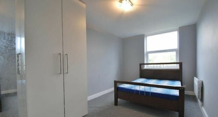 1 bedroom flat in Hanwell very Spacious and roomy